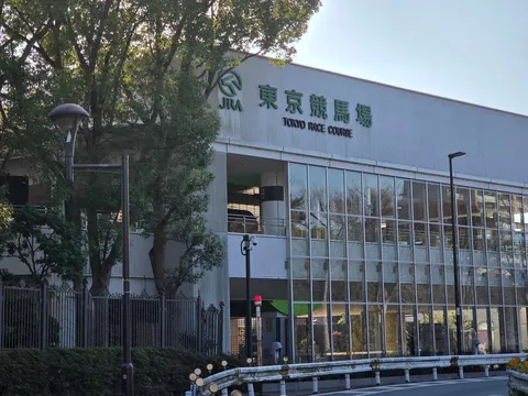 東京競馬場、堂々たる姿