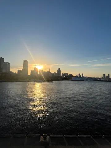 水面にきらめく、都市の息吹