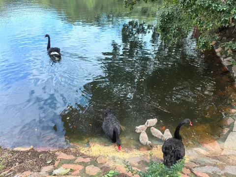 家族で水辺の散歩