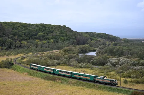 風景を走る緑の列車