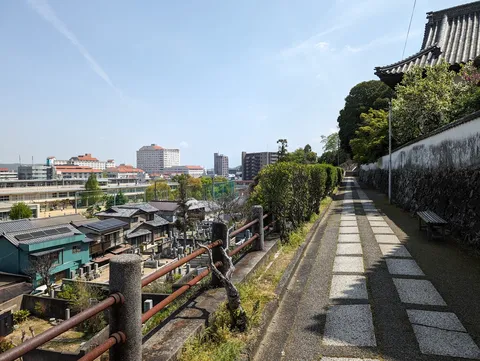 瓦屋根と樹影の路地