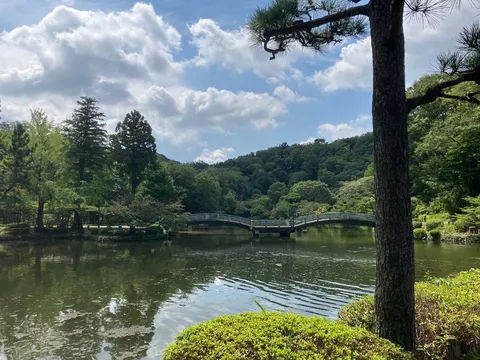 緑と水の静かな橋影