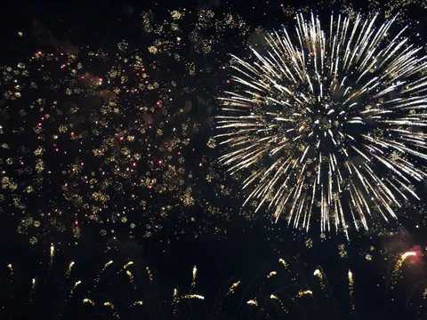 夜空に咲く白金の花