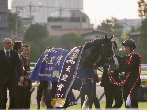 栄光の瞬間、馬と人々