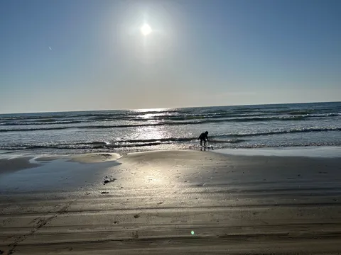 水際の探求者と輝く太陽
