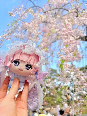桜の下、淡い夢のひととき