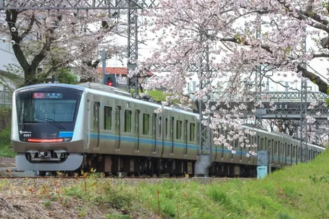 春風と桜、そして疾走する列車