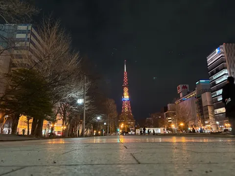 夜空に輝くタワーと街並み