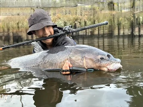 大物現る！竿をくわえた釣り人