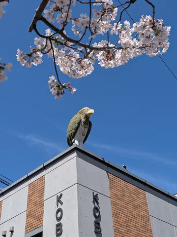 桜とビルの番人