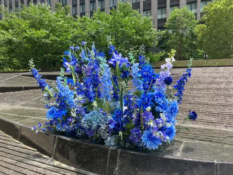 青い花々の水辺の饗宴