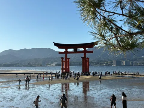 潮騒に立つ朱の夢