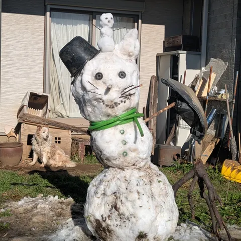 雪だるま、まさかの猫耳！