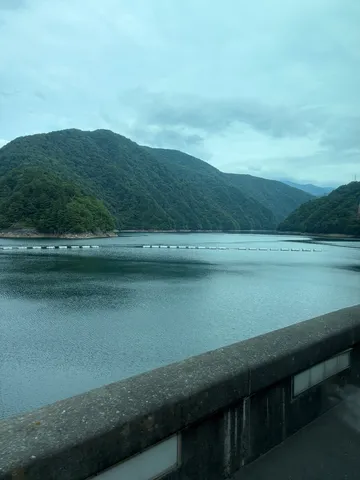 静寂に包まれた湖畔の緑