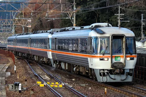秋色を纏う特急列車