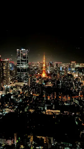 東京タワーと光の海