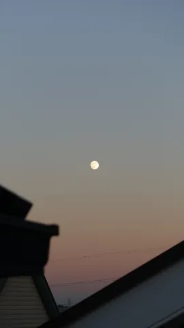 都会の空と月