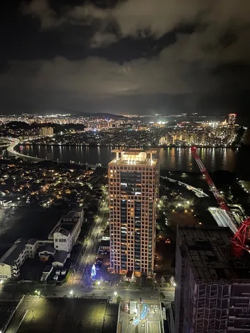 夜景の主役は、まさかの青いツリー