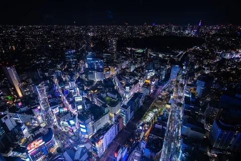 光の海を見下ろす夜