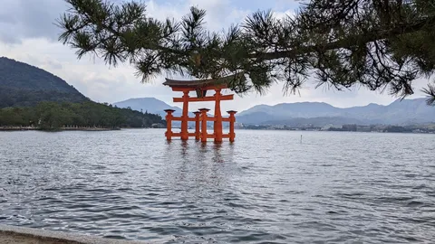 松葉に囁かれる水上の朱
