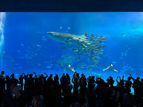 大水槽に広がる青と感動