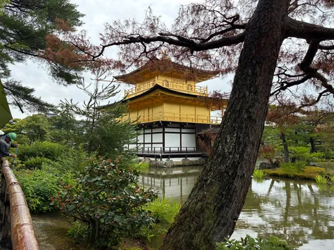 金閣寺、雨の庭園に映える