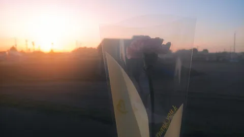夕暮れの感謝
