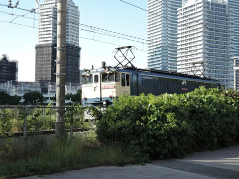 都会と緑の境界線を行く列車