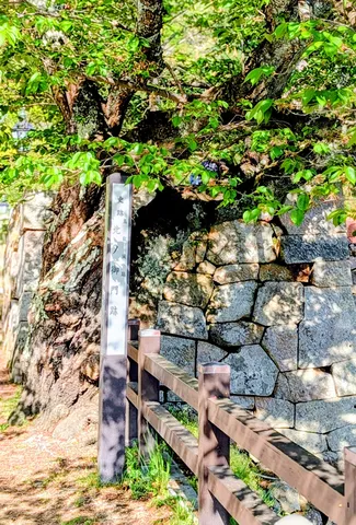 北の門跡を飾る新緑