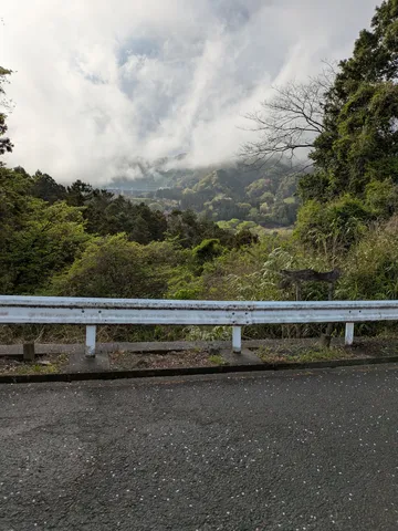 霧深き山の道、ガードレールの向こうに広がる世界