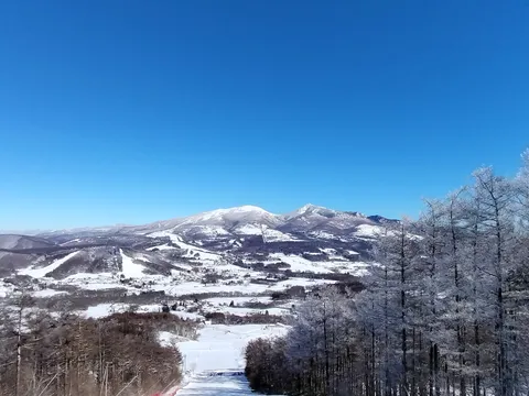 青空に映える雪山と樹氷