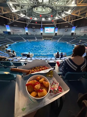 水槽前のスナック光景