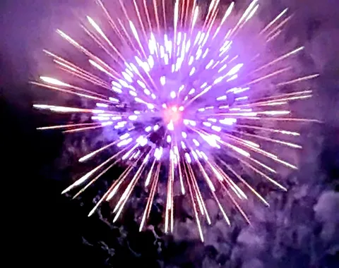 夜空に咲く、紫色の華