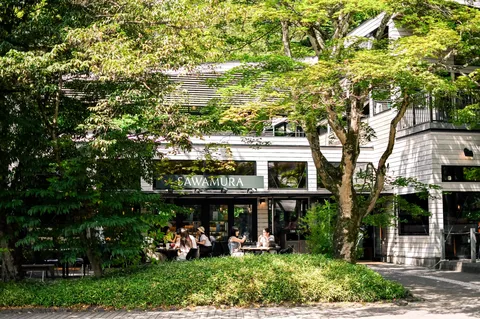 緑陰のカフェ風景