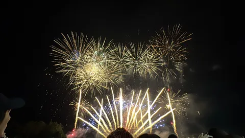 夜空を彩る光の芸術