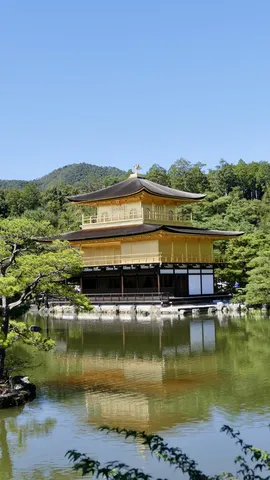 池に映る黄金の輝き