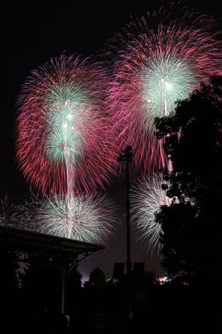 夜空を彩る光の華