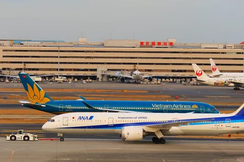 空を彩る翼たち