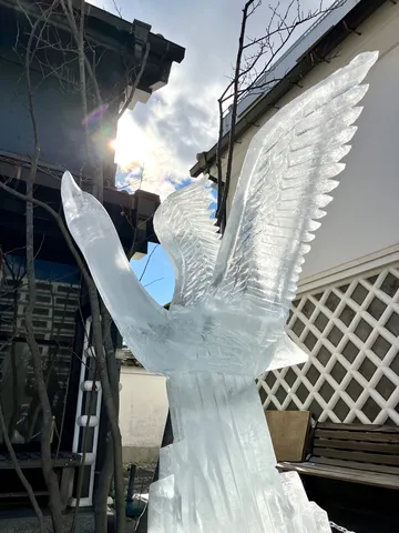 冬空に輝く氷の翼