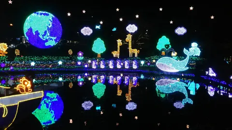 水面に広がる光の星座