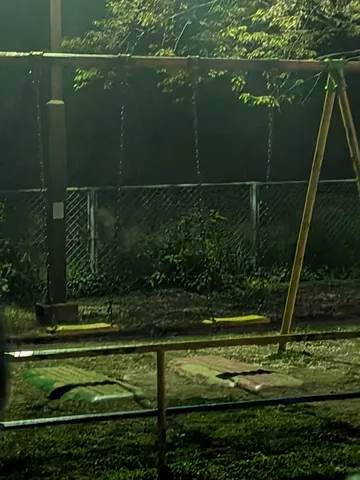 静かに佇む夜のブランコ