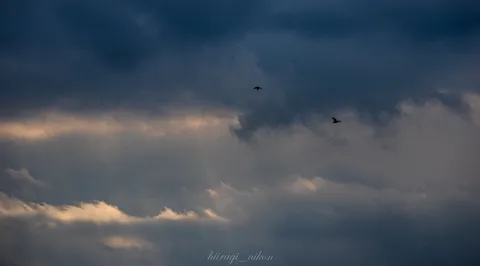 夕暮れの翼と静寂の空