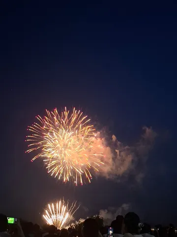 夜空に咲く大輪の花