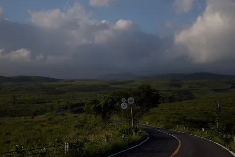 雨を含んだ空へと続く道