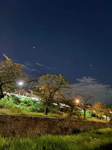 夜風に揺れる街灯