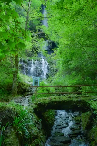 緑深き瀑布と苔むす橋