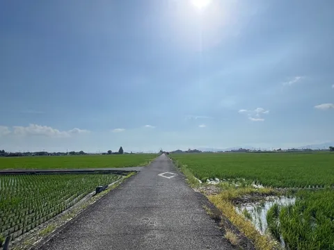 広がる田園とどこまでも続く道