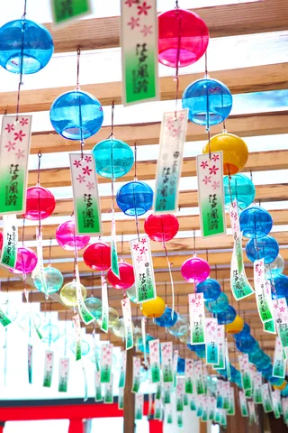 風を待つ彩りの天井