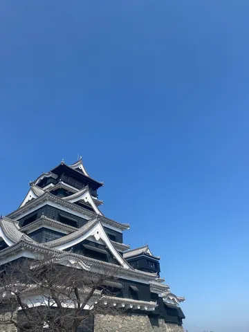 青空に映える城の影絵
