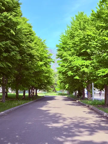 光と緑のアーチ
